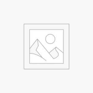 Roman Silver Denarius